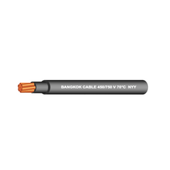 BCC สายไฟหลายแกนฝังดิน 450/750 V 70 °C รุ่น NYY