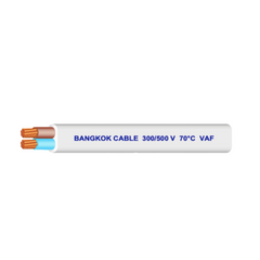 BCC สายไฟแบน 2 แกน 300/500 V 70 °C รุ่น VAF